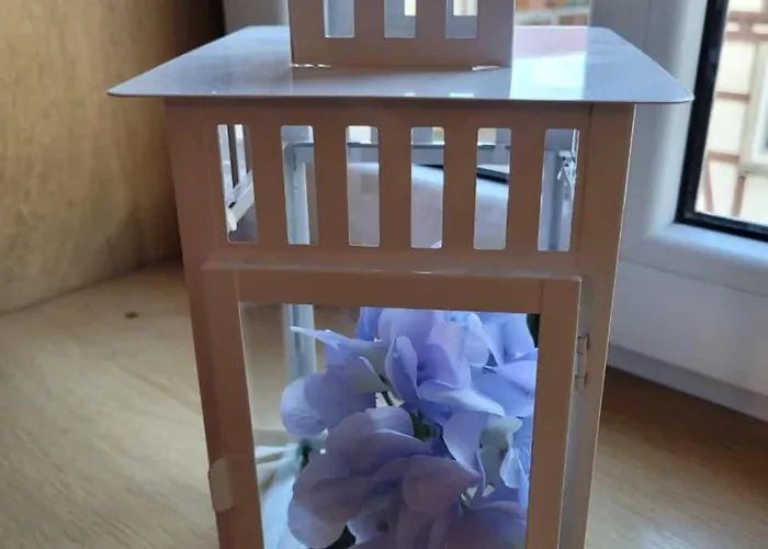 Dazwischen Uebernachten Casa de hóspedes